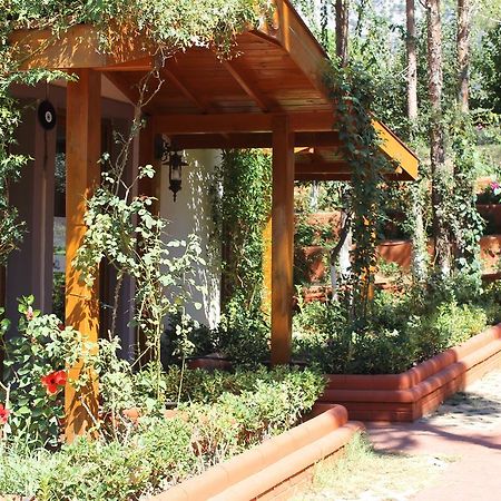 Boncuklu Otel Ölüdeniz Zewnętrze zdjęcie