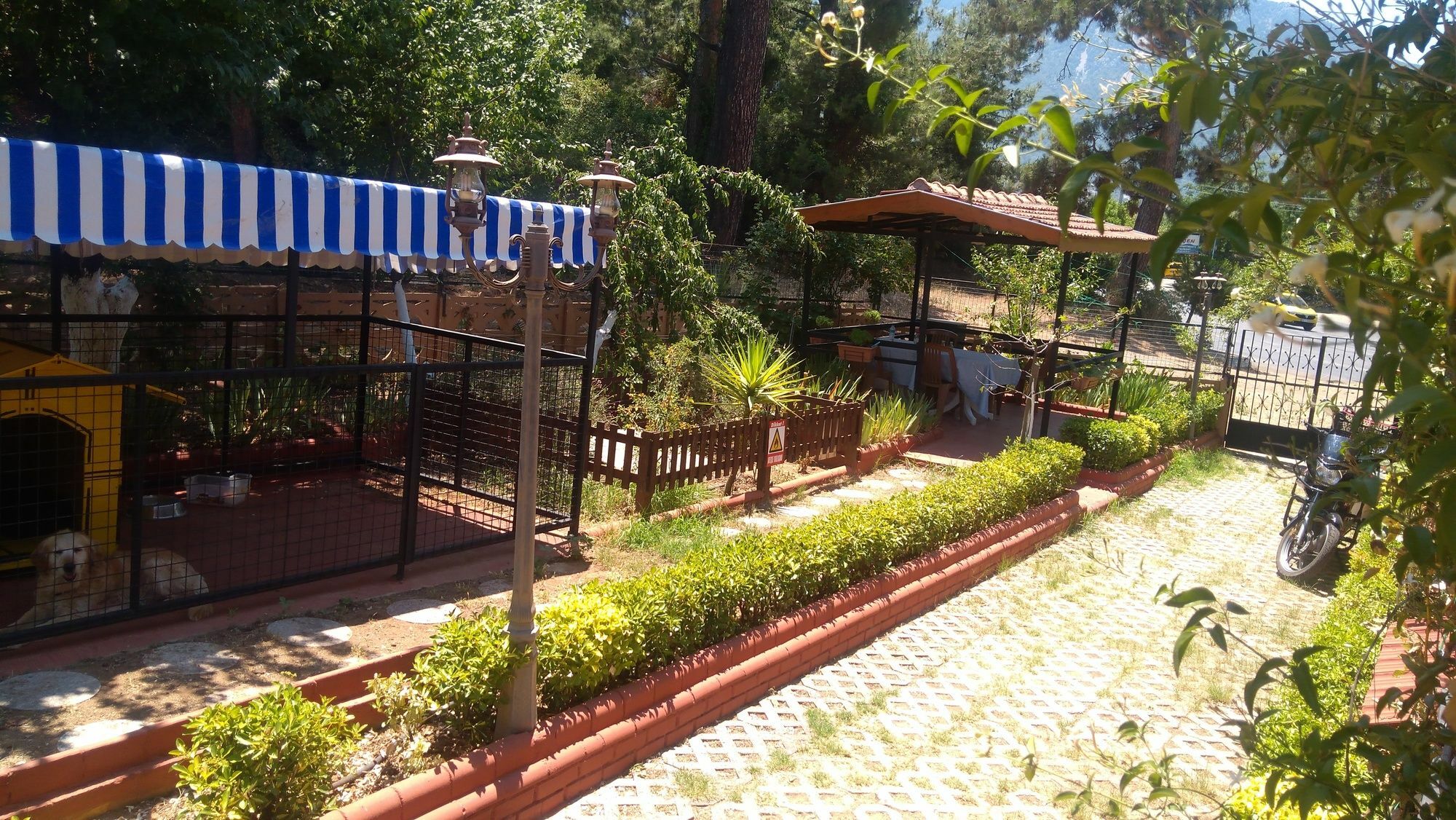 Boncuklu Otel Ölüdeniz Zewnętrze zdjęcie